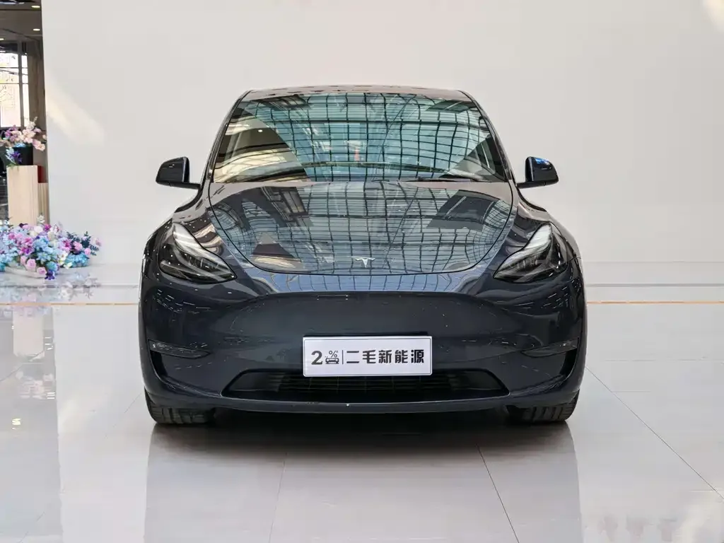 Tesla Model Y 2021 из CN, фото 2