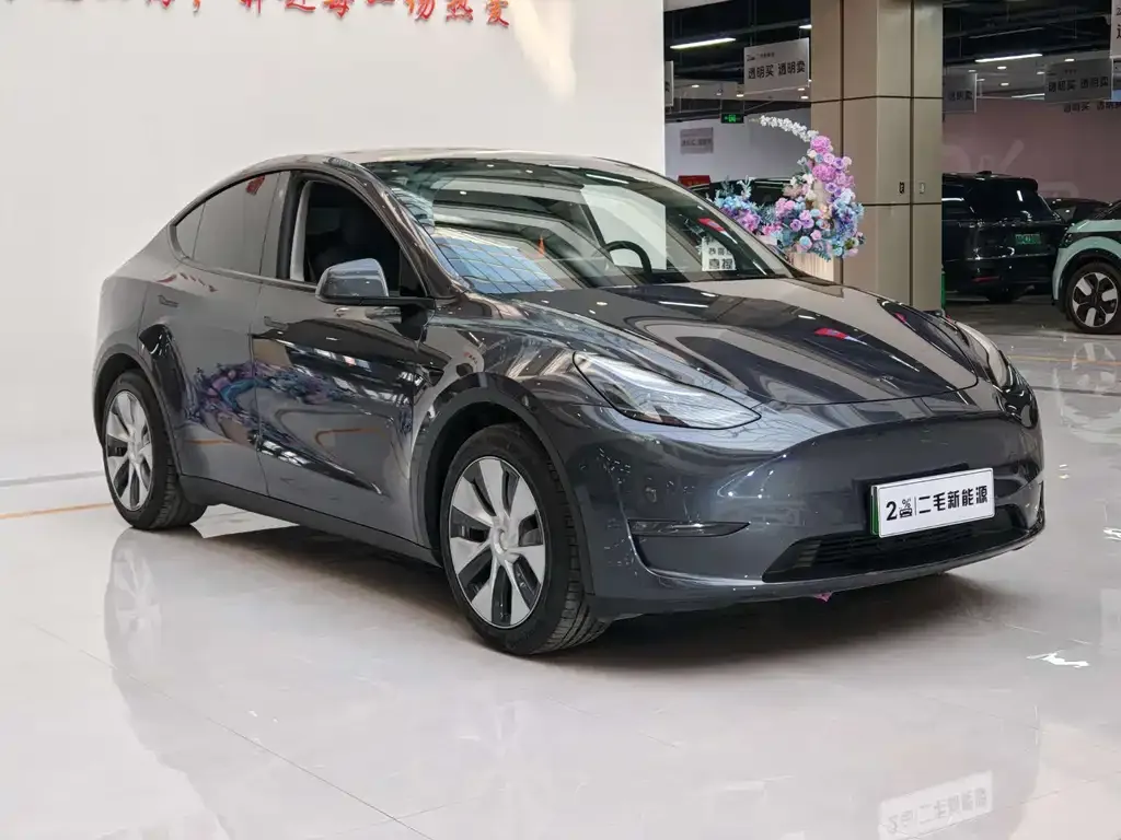 Tesla Model Y 2021 из CN, фото 3