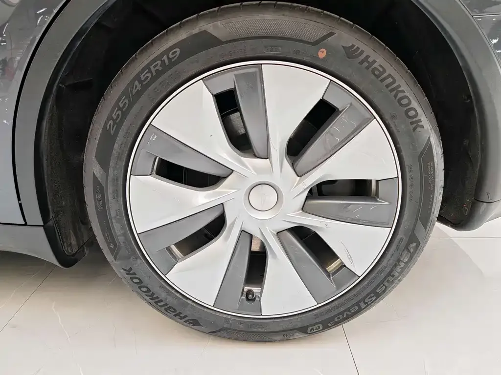 Tesla Model Y 2021 из CN, фото 5