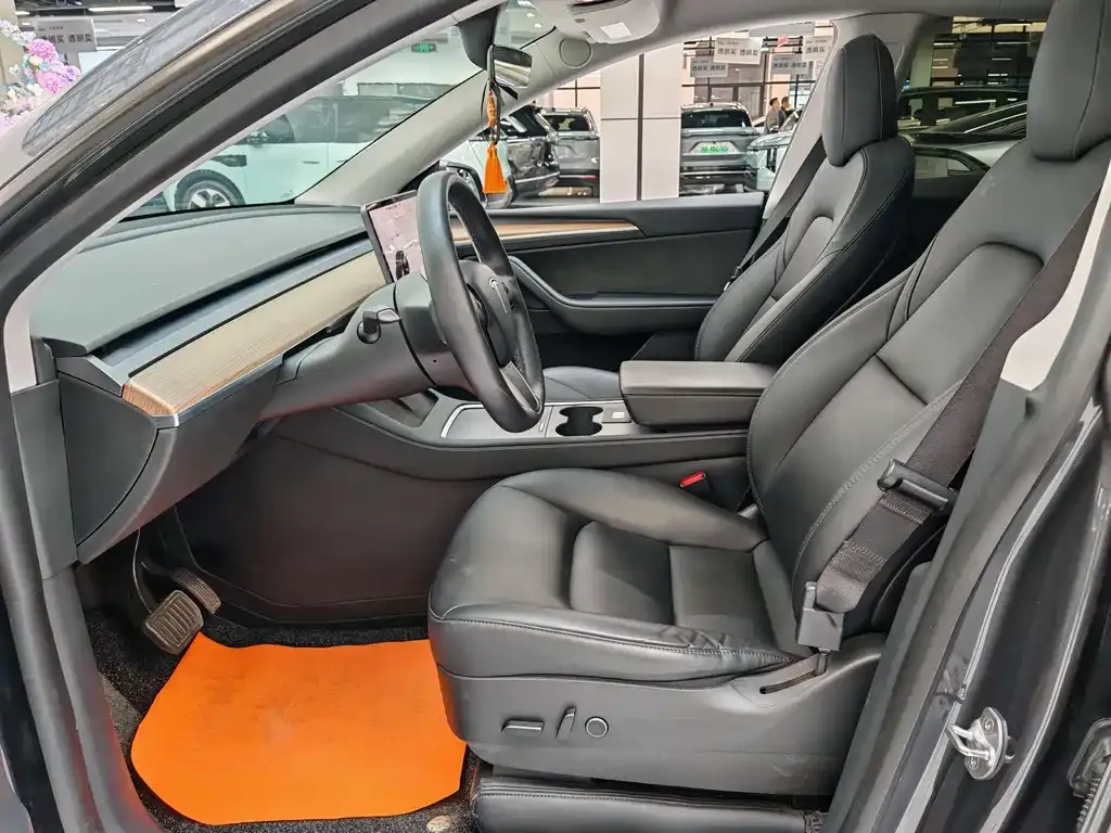 Tesla Model Y 2021 из CN, фото 6