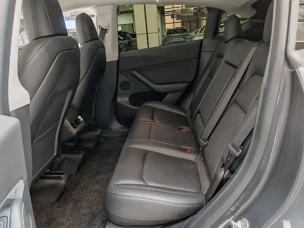 Tesla Model Y 2021 из CN, фото 7