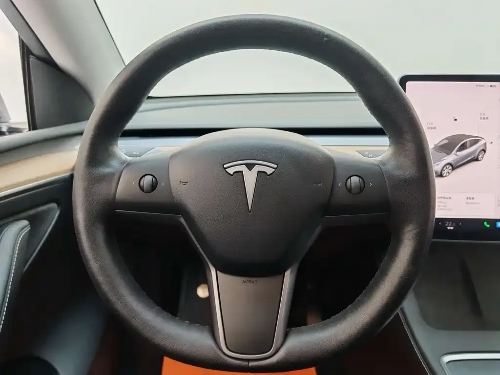 Tesla Model Y 2021 из CN, фото 9