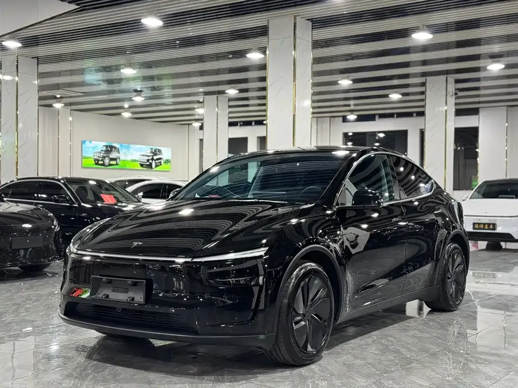 Tesla Model Y 2025 из CN, фото 1