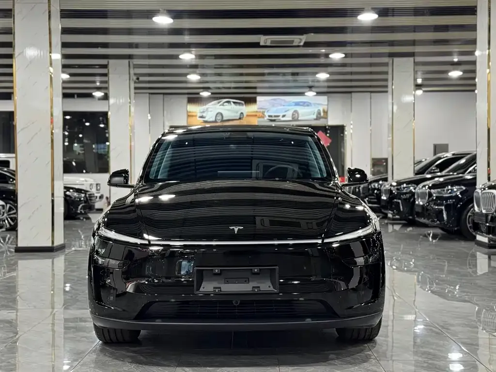 Tesla Model Y 2025 из CN, фото 2