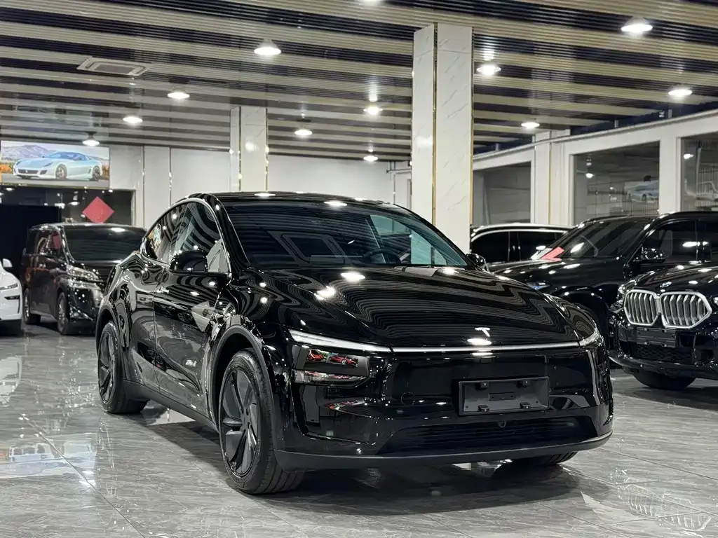 Tesla Model Y 2025 из CN, фото 3