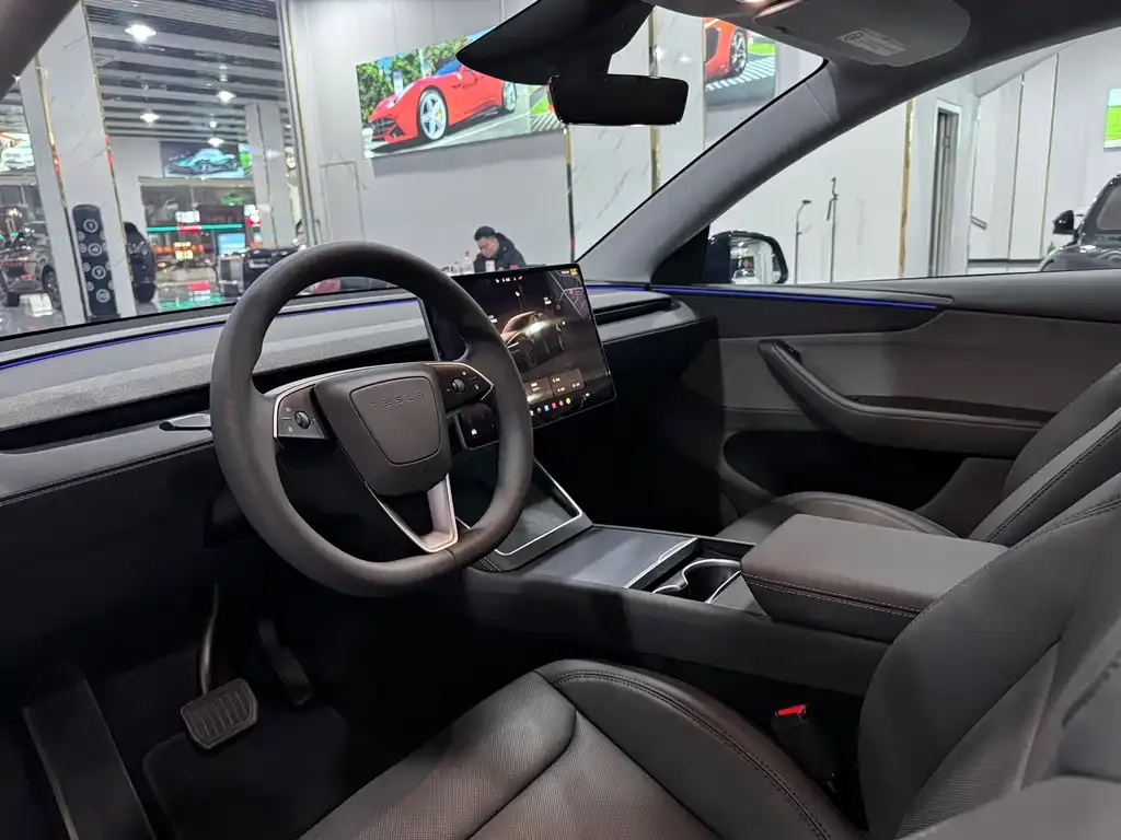 Tesla Model Y 2025 из CN, фото 4