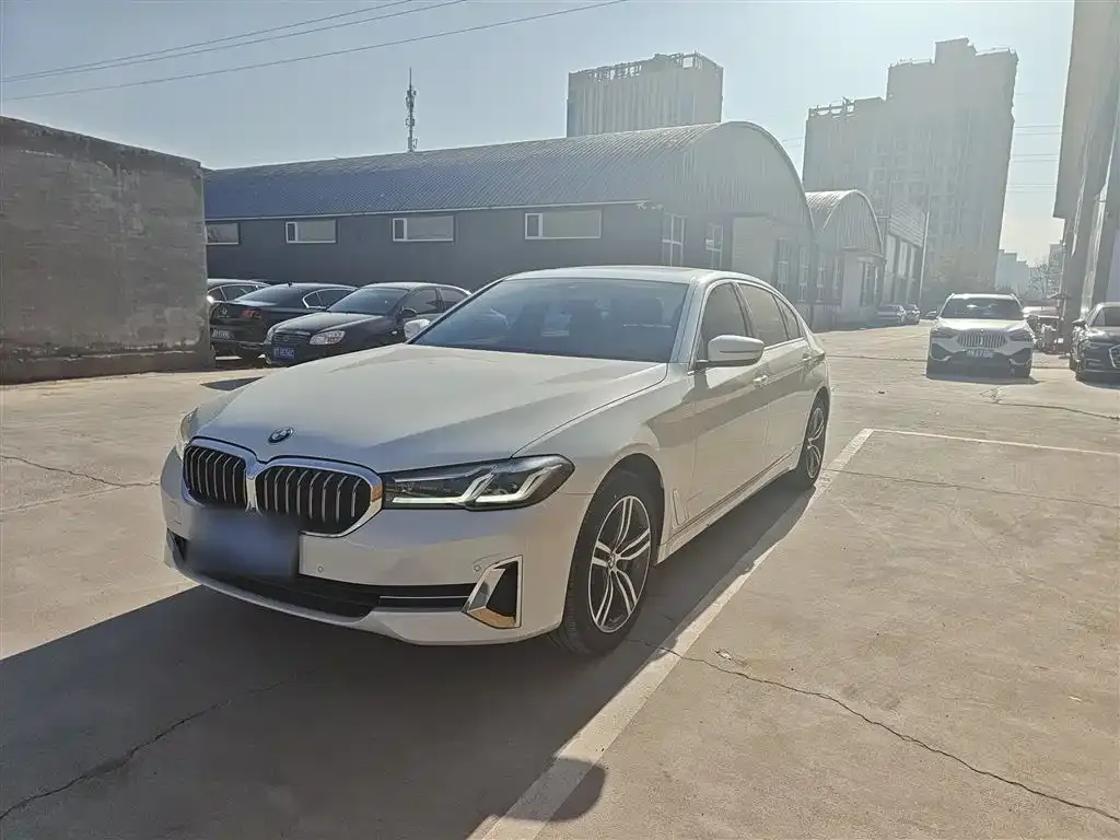 BMW 5 Series 2023 из CN, фото 2