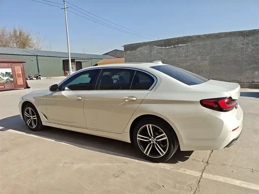 BMW 5 Series 2023 из CN, фото 7