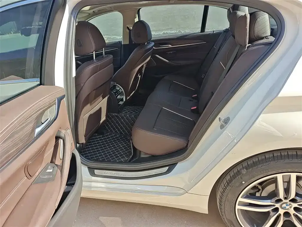 BMW 5 Series 2023 из CN, фото 8