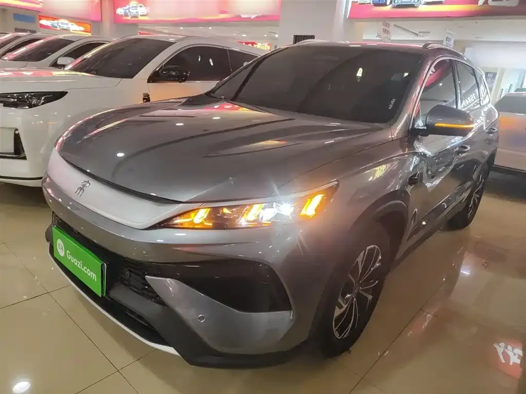 BYD Pro New Energy 2025 из CN, фото 1