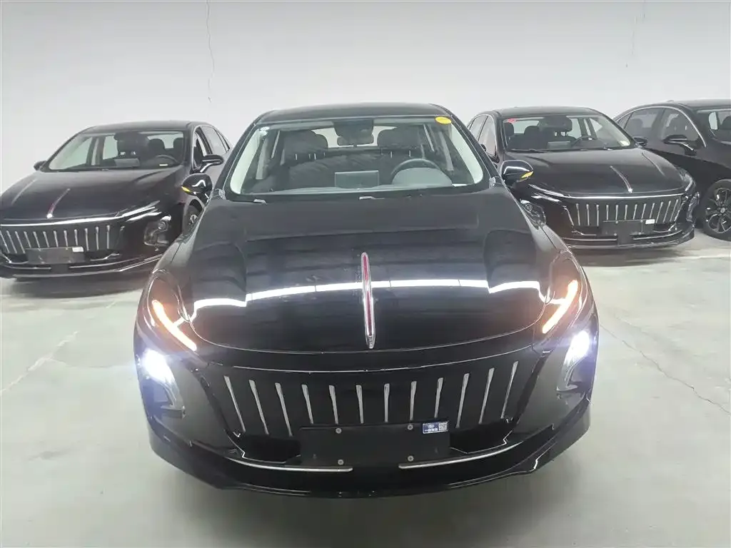 Hongqi E-QM5 2022 из CN, фото 3