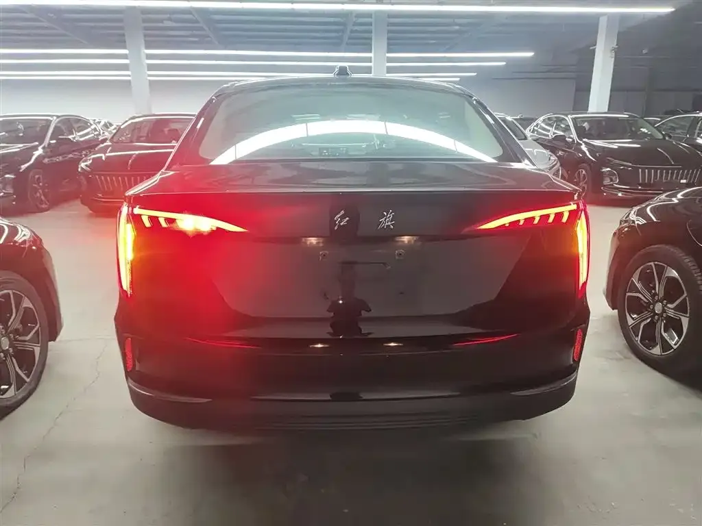 Hongqi E-QM5 2022 из CN, фото 6