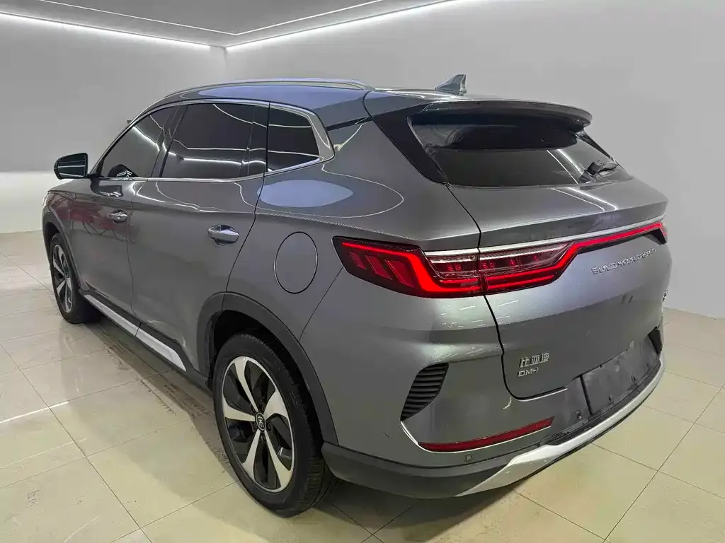 BYD PLUS New Energy — фото 2