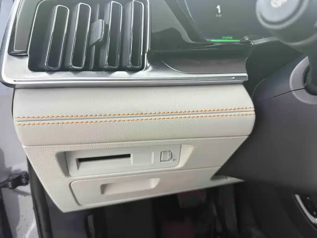 BYD PLUS New Energy — фото 3