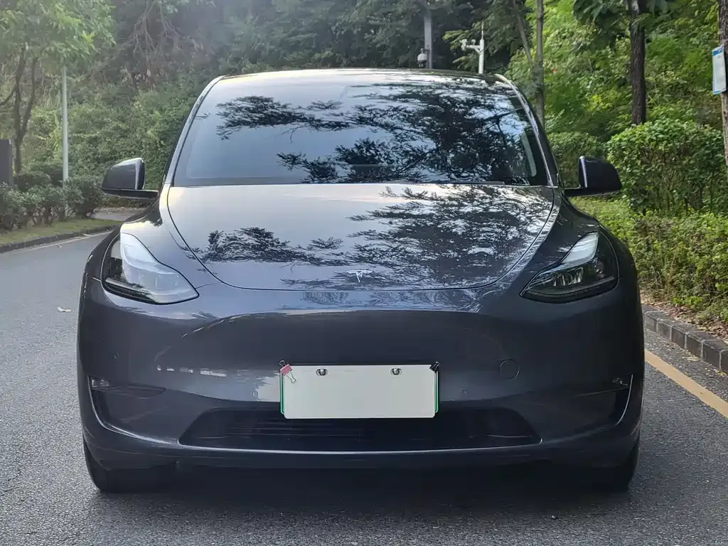 Tesla Model Y — фото 2