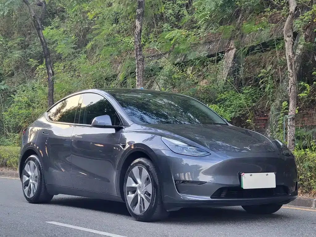 Tesla Model Y — фото 3