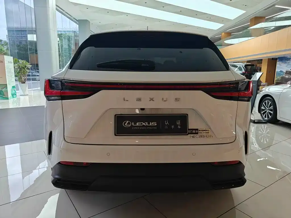 Lexus NX 2025 из CN, фото 10