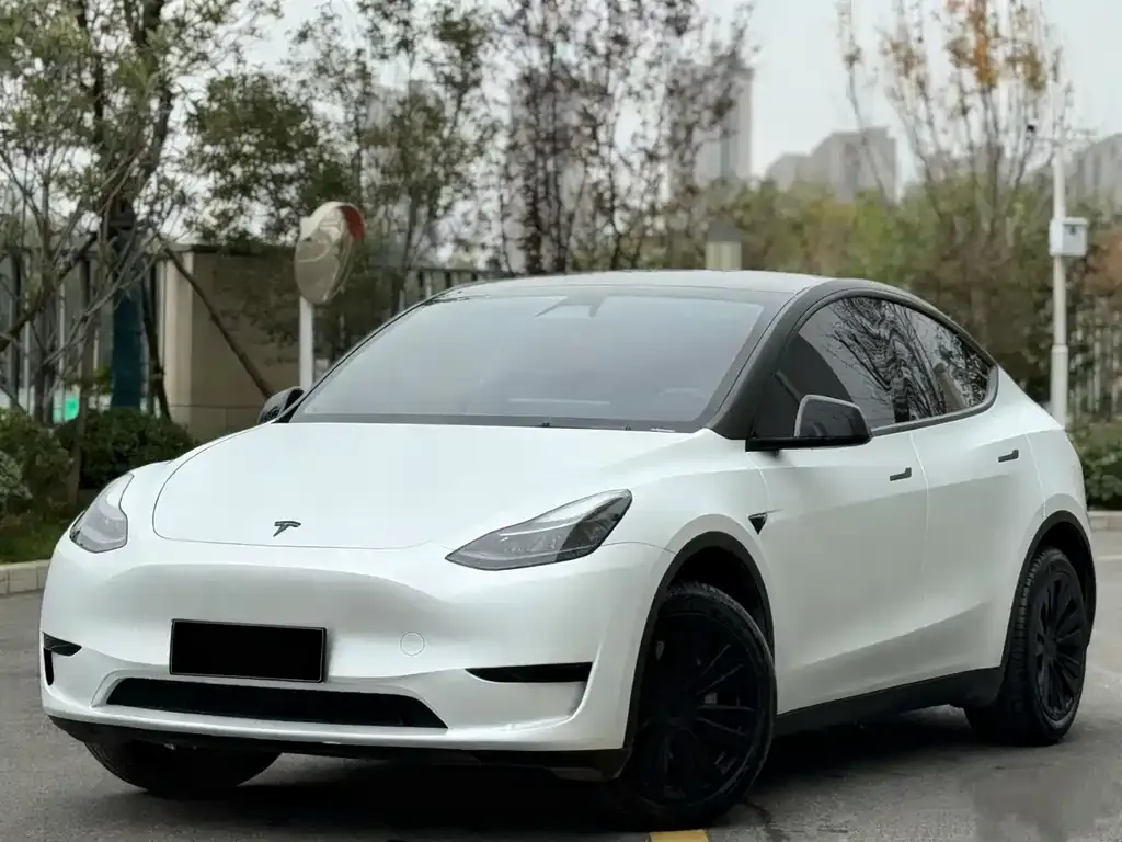 Tesla Model Y 2024 из CN, фото 1
