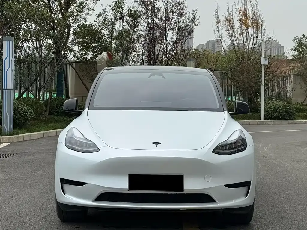 Tesla Model Y 2024 из CN, фото 3