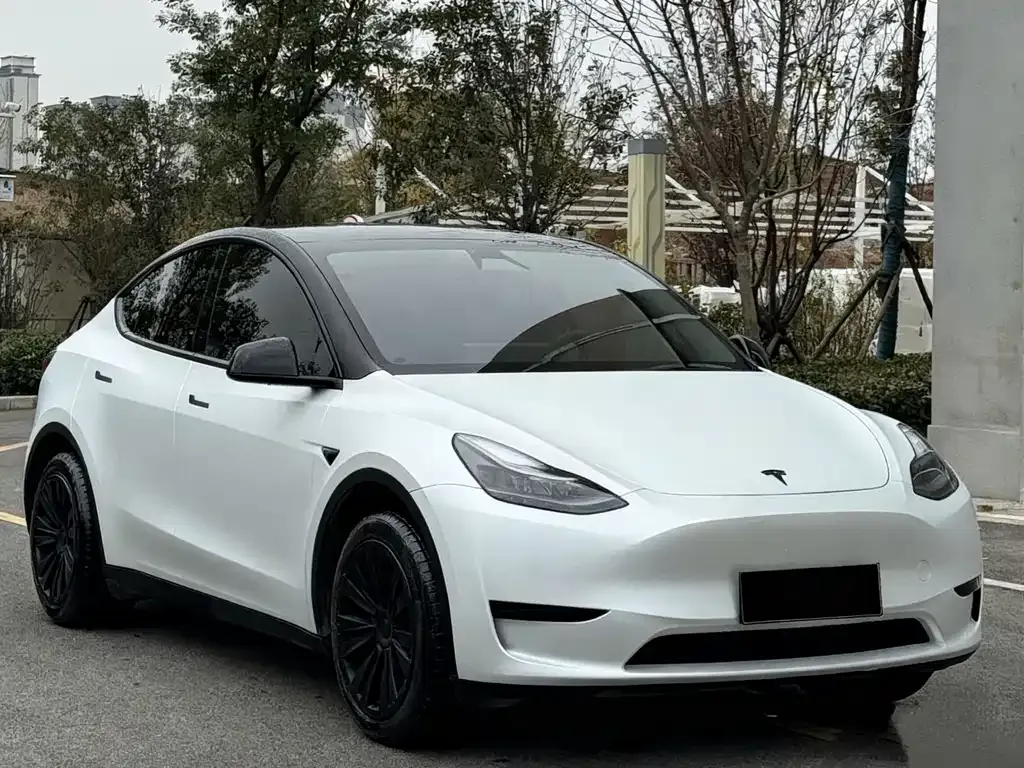 Tesla Model Y 2024 из CN, фото 4