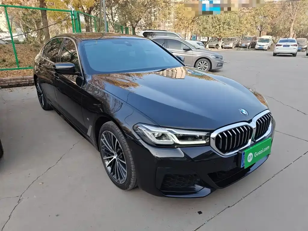 BMW 5 Series 2022 из CN, фото 4