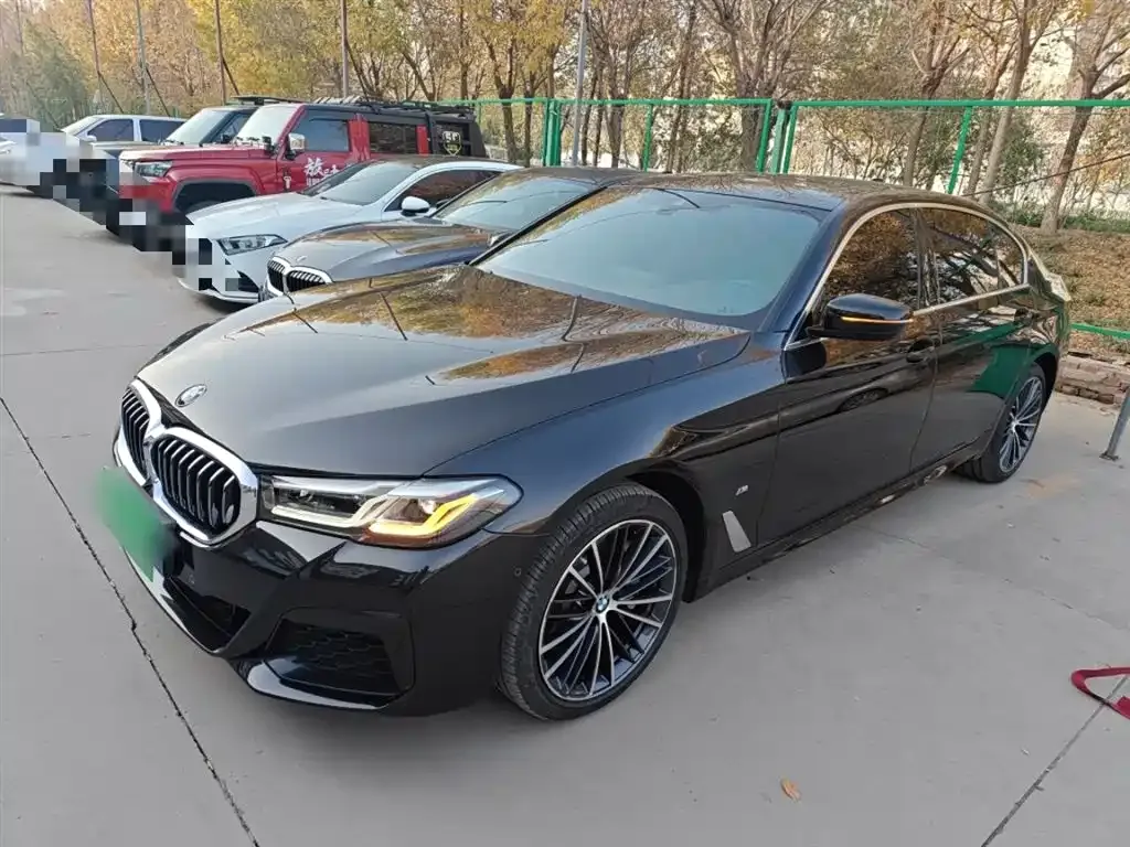 BMW 5 Series 2022 из CN, фото 5