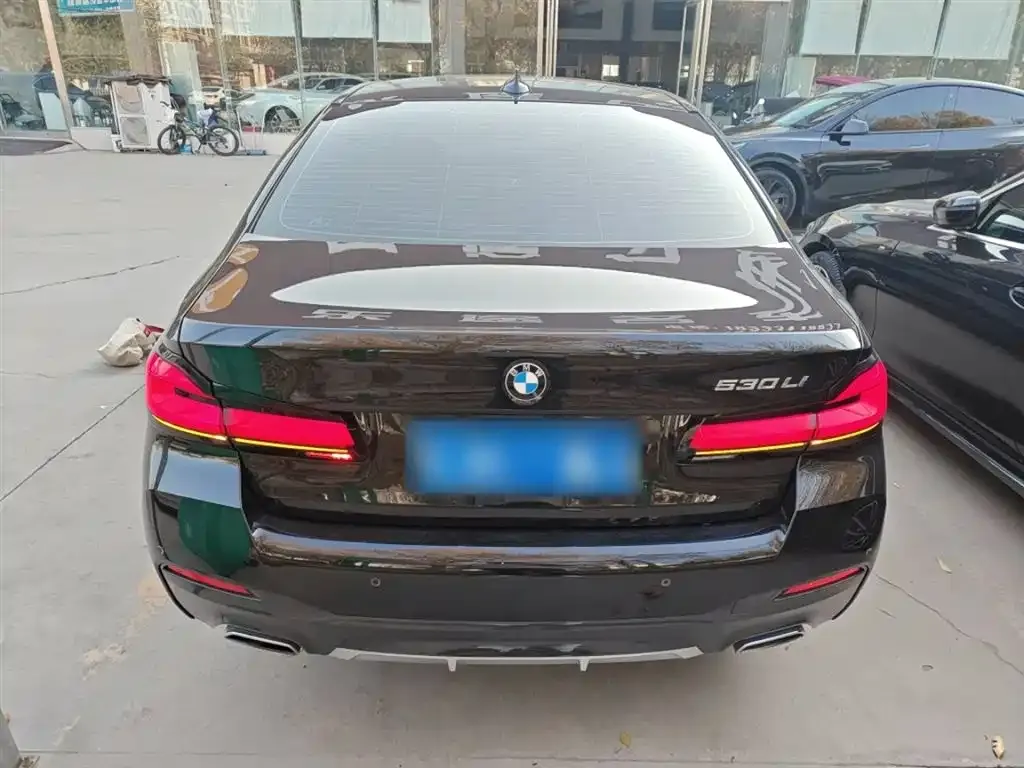 BMW 5 Series 2022 из CN, фото 6