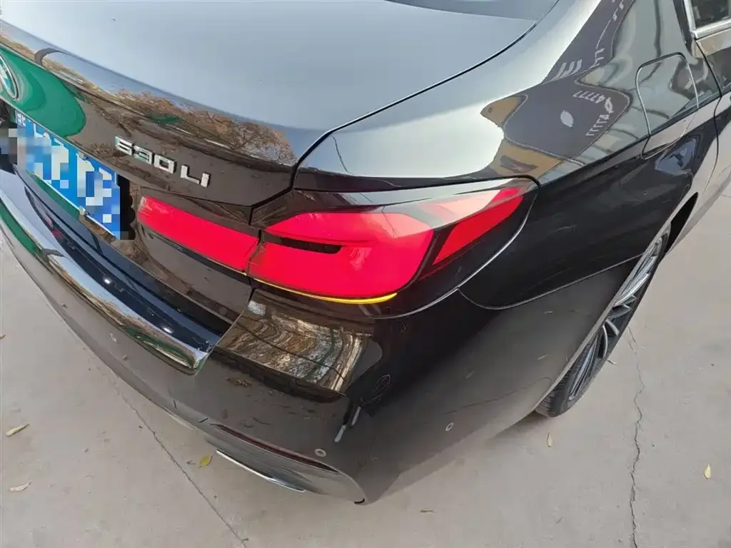 BMW 5 Series 2022 из CN, фото 8