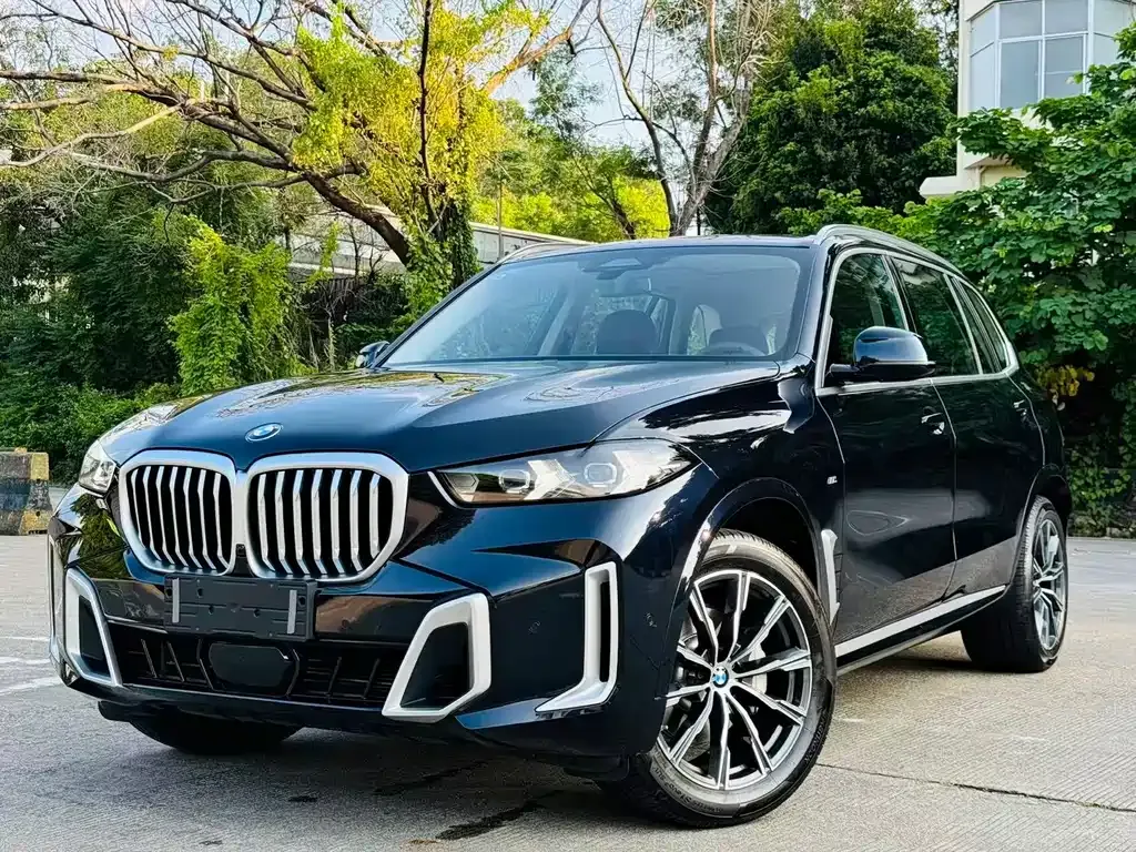 BMW X5 2024 из CN, фото 1