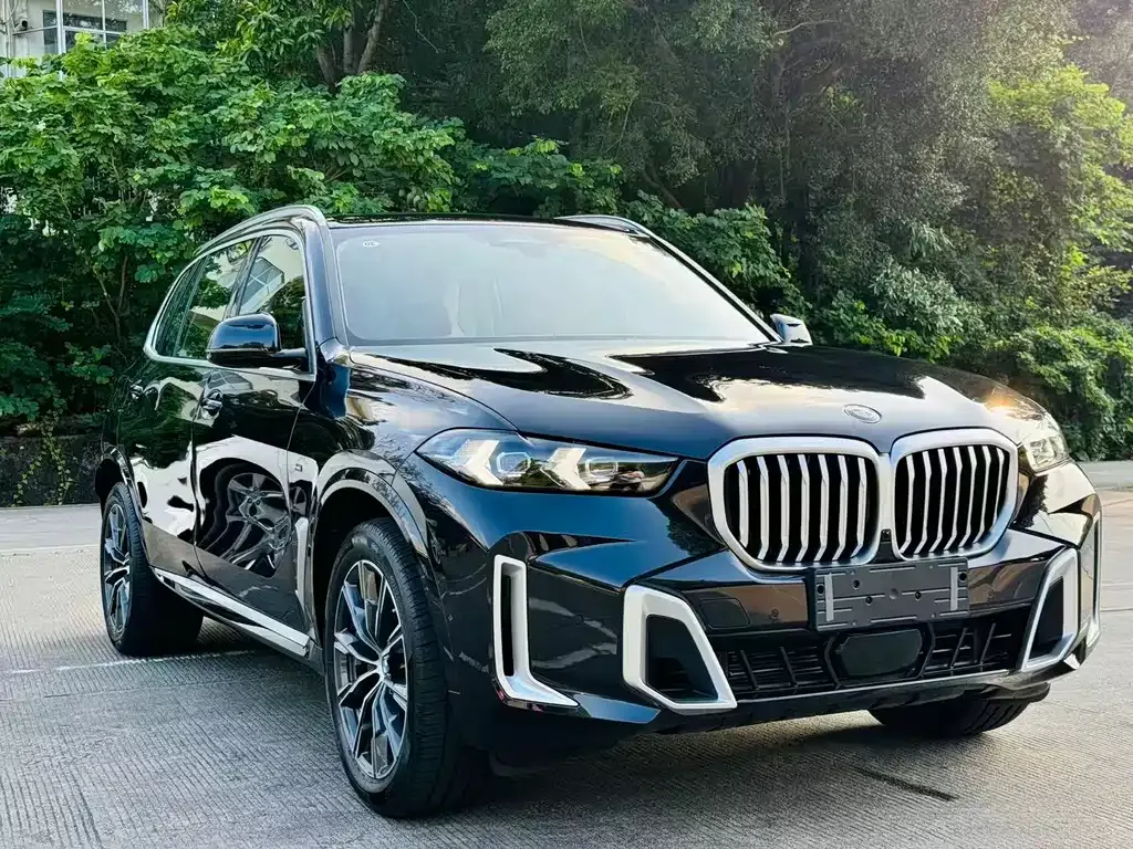 BMW X5 2024 из CN, фото 2