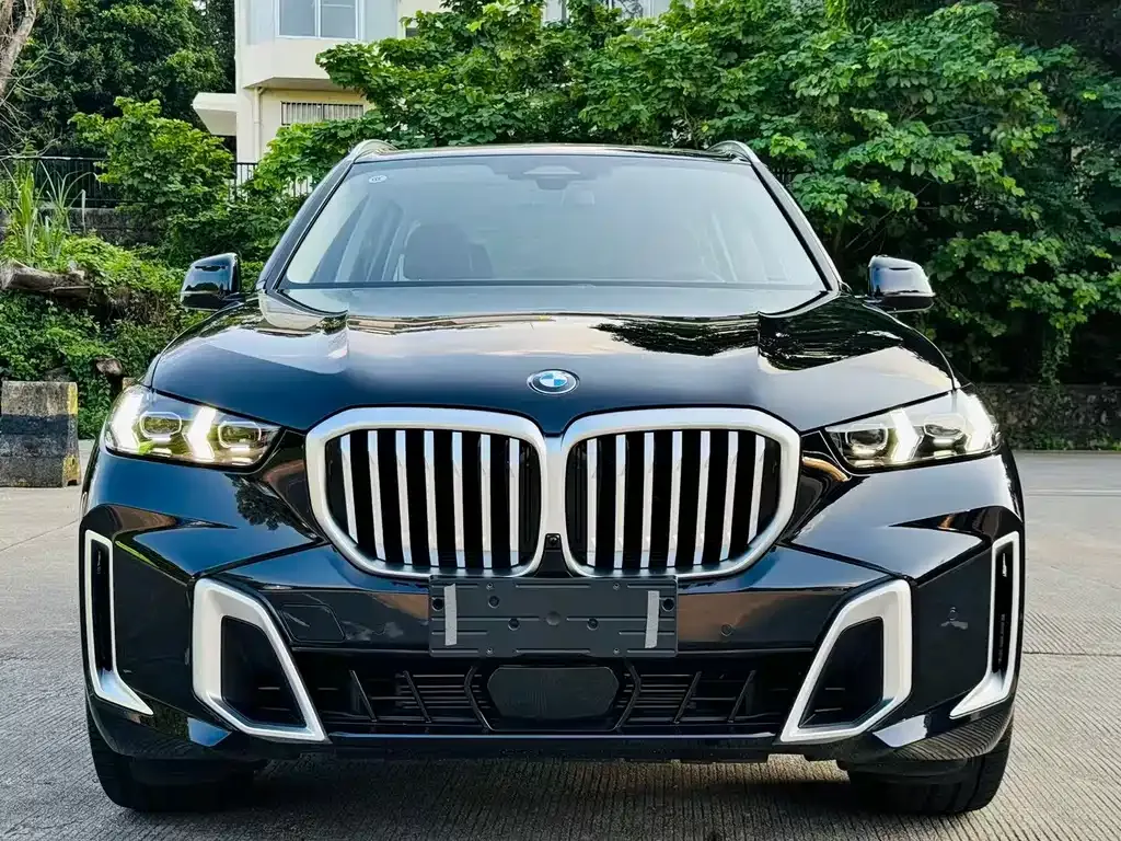 BMW X5 2024 из CN, фото 3