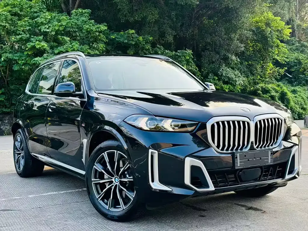 BMW X5 2024 из CN, фото 4