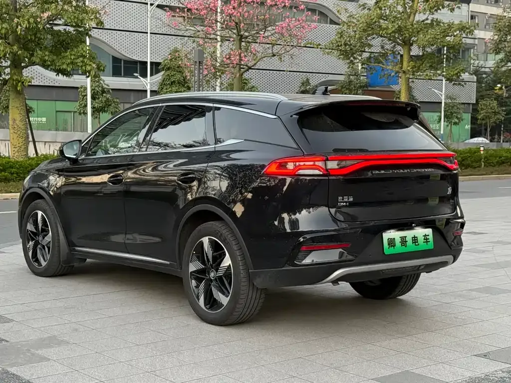 BYD Tang New Energy — фото 4