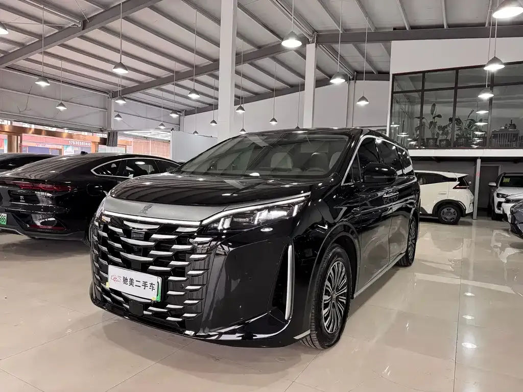 BYD Xia 2025 из CN, фото 1