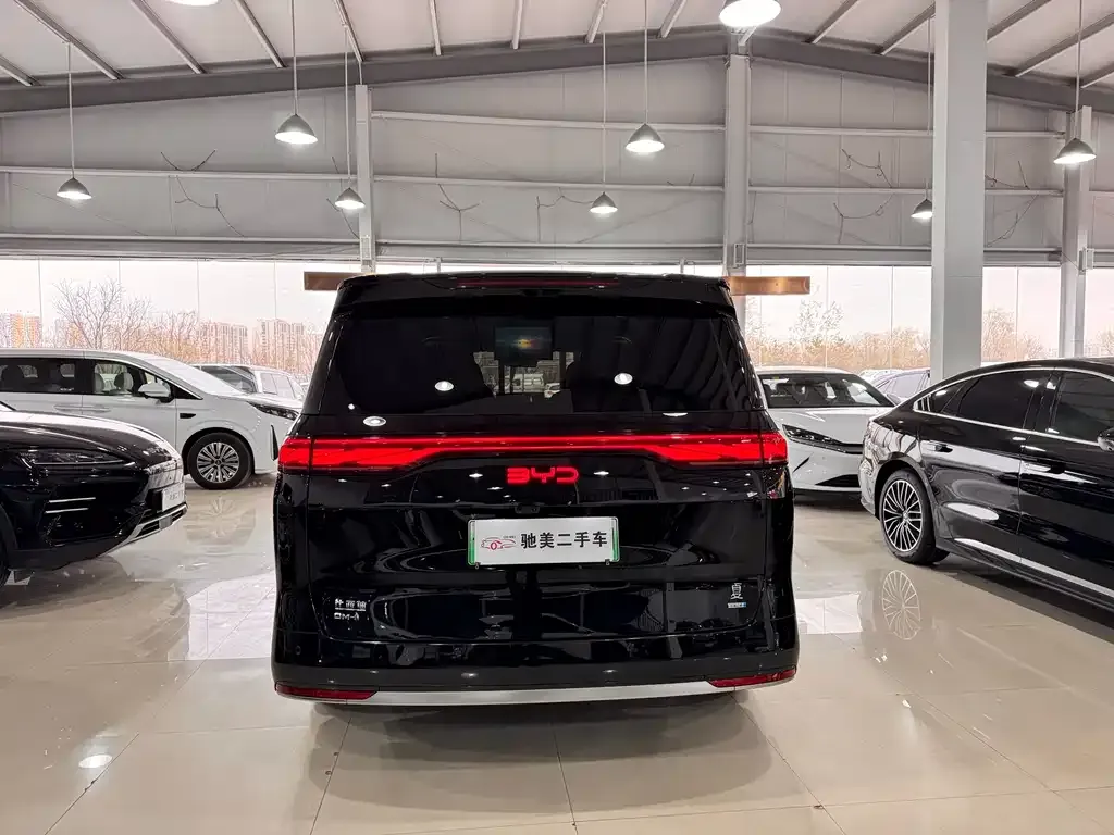 BYD Xia 2025 из CN, фото 5