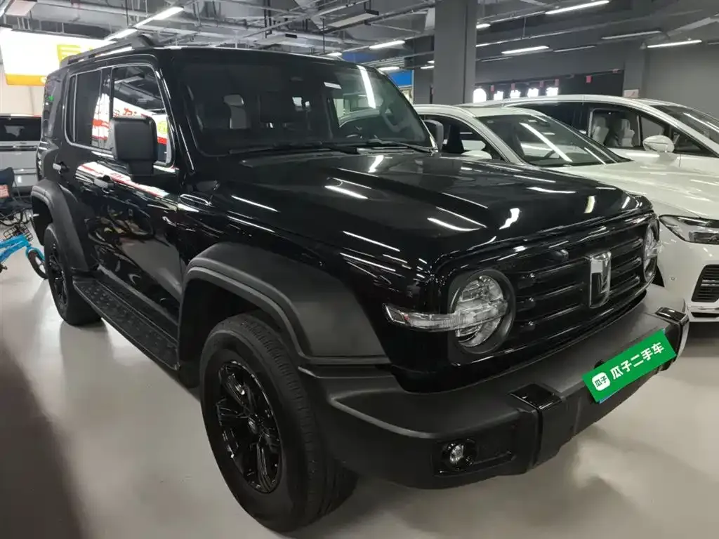 Tank 300 2023 из CN, фото 4