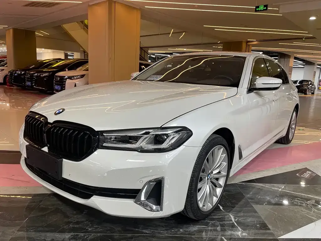 BMW 5 Series 2021 из CN, фото 1