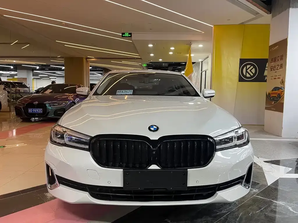 BMW 5 Series 2021 из CN, фото 2