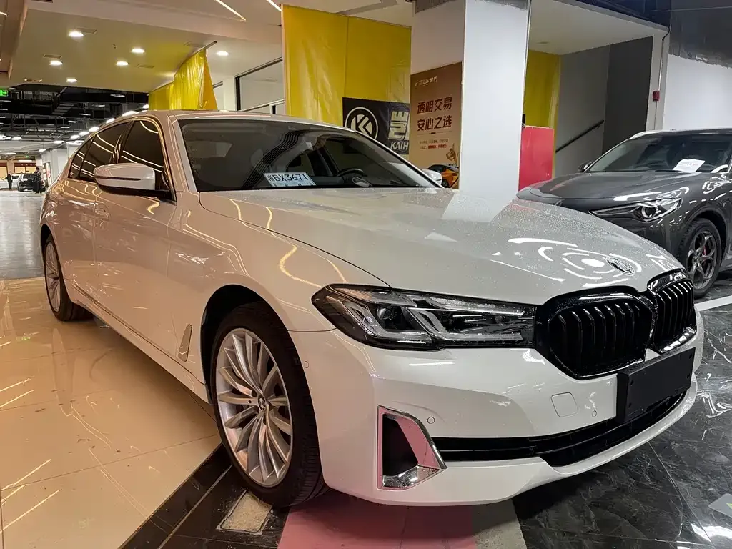 BMW 5 Series 2021 из CN, фото 3
