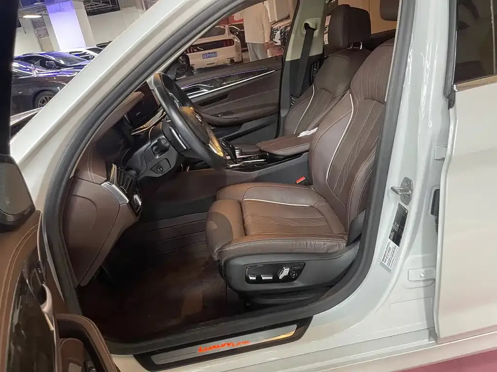 BMW 5 Series 2021 из CN, фото 5