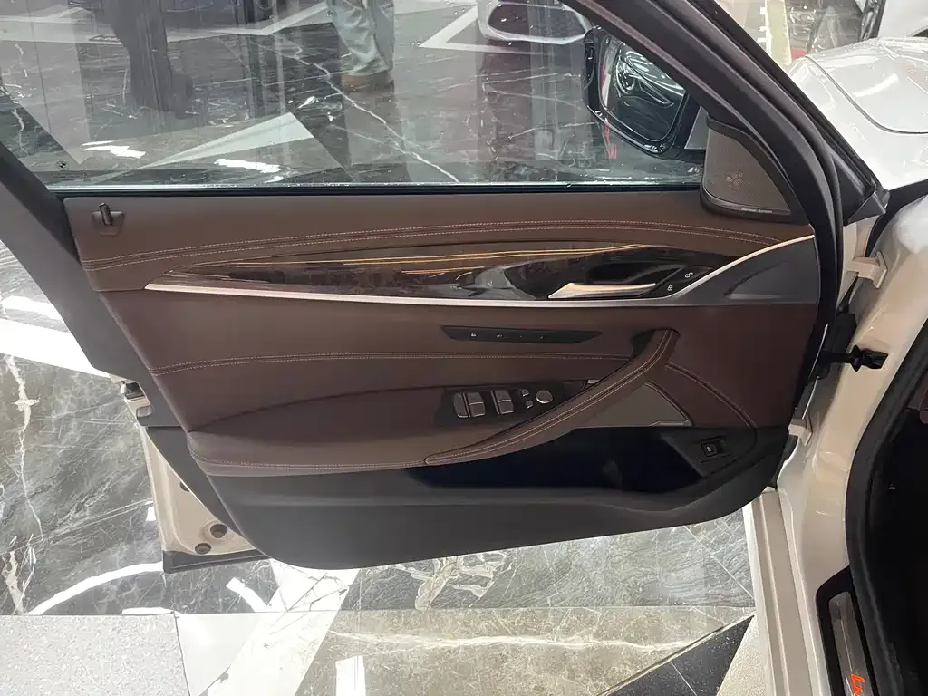 BMW 5 Series 2021 из CN, фото 6