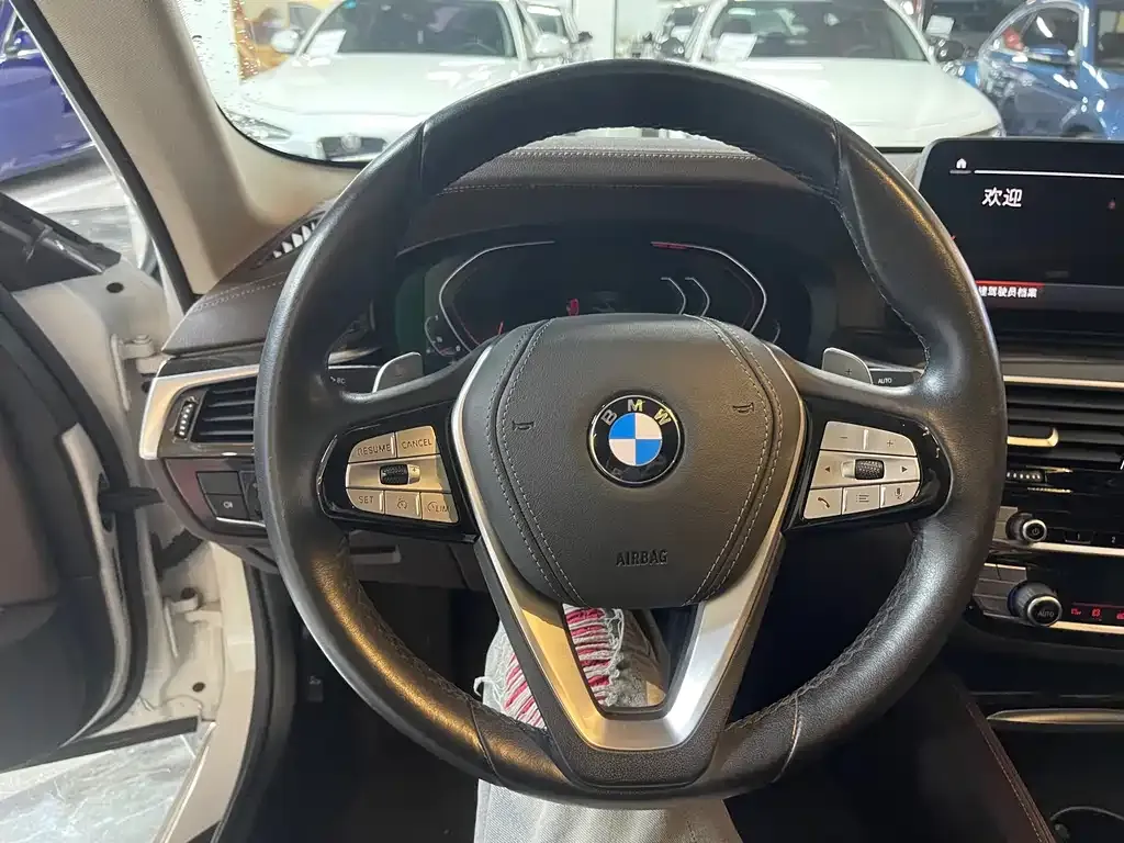 BMW 5 Series 2021 из CN, фото 7