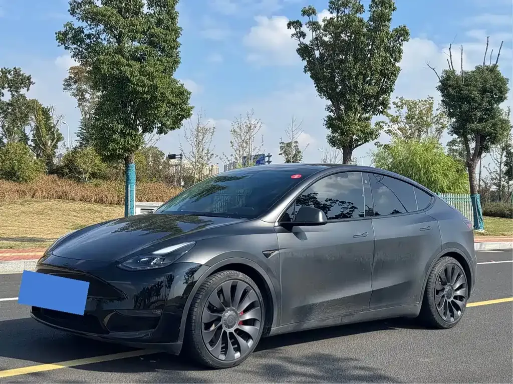 Tesla Model Y — фото 1