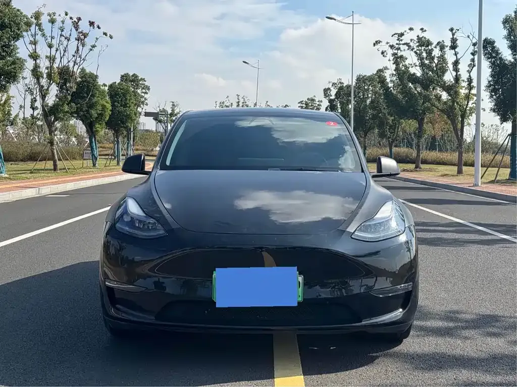 Tesla Model Y — фото 2