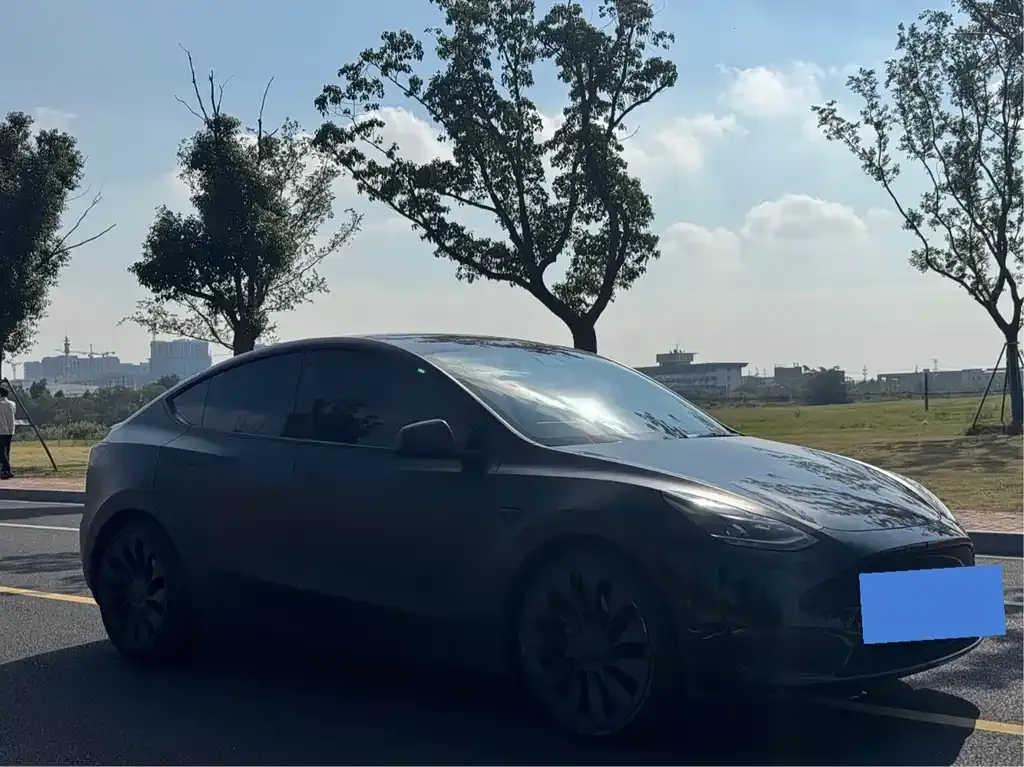 Tesla Model Y — фото 3