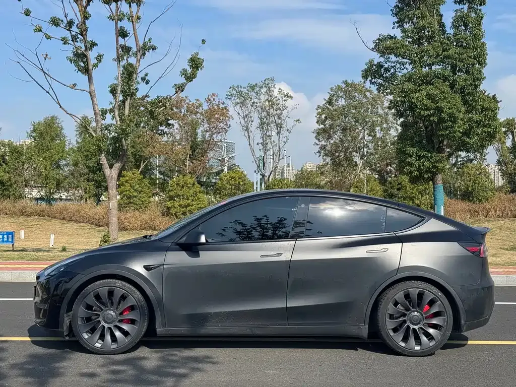 Tesla Model Y — фото 5