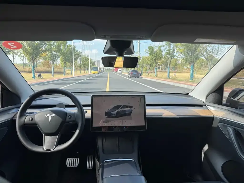 Tesla Model Y — фото 9