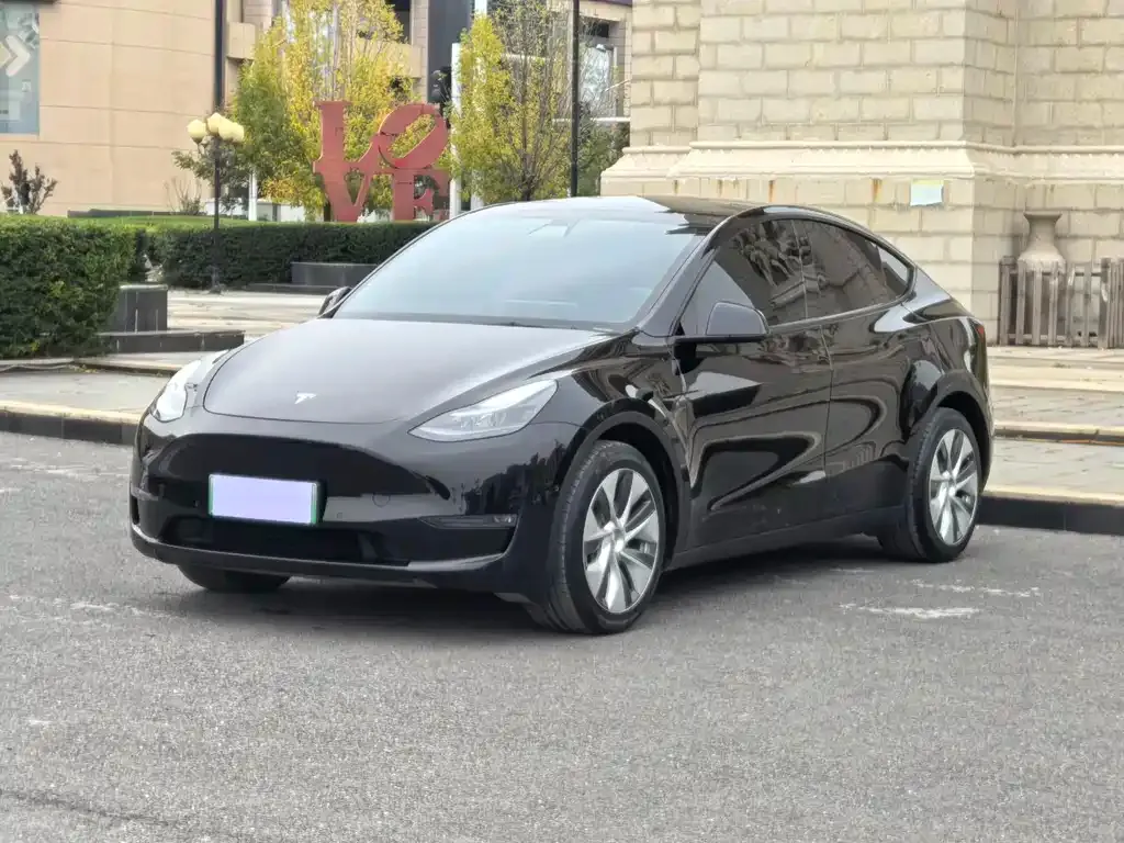Tesla Model Y 2022 из CN, фото 1