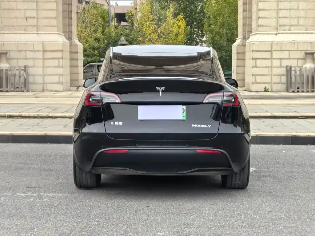 Tesla Model Y 2022 из CN, фото 10