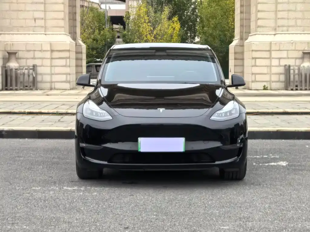 Tesla Model Y 2022 из CN, фото 2